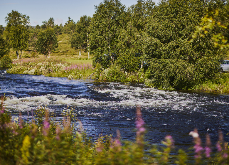 Vasetdansen Camping Elv
